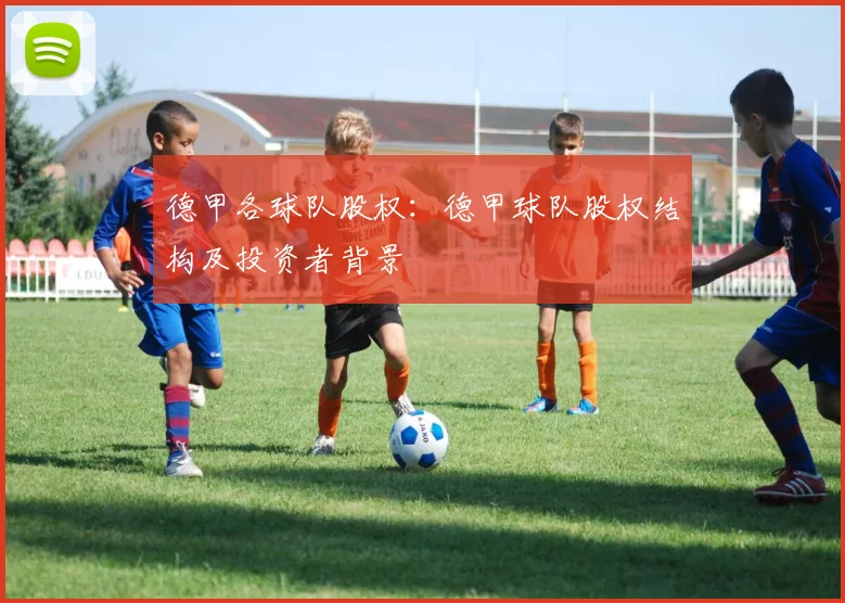 德甲各球队股权：德甲球队股权结构及投资者背景