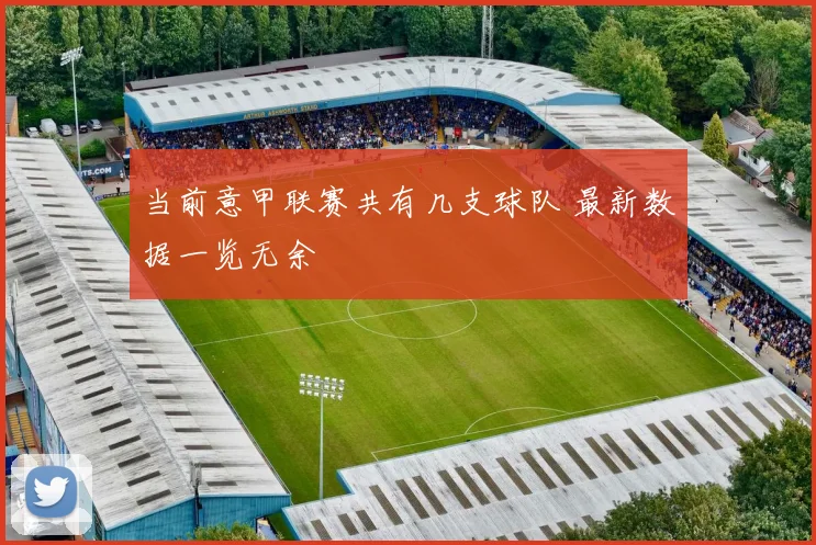 当前意甲联赛共有几支球队 最新数据一览无余