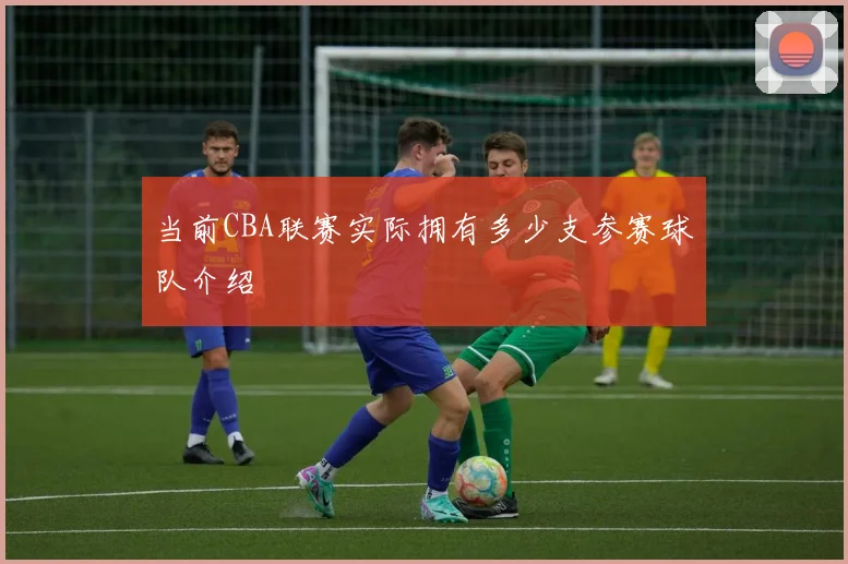 当前CBA联赛实际拥有多少支参赛球队介绍